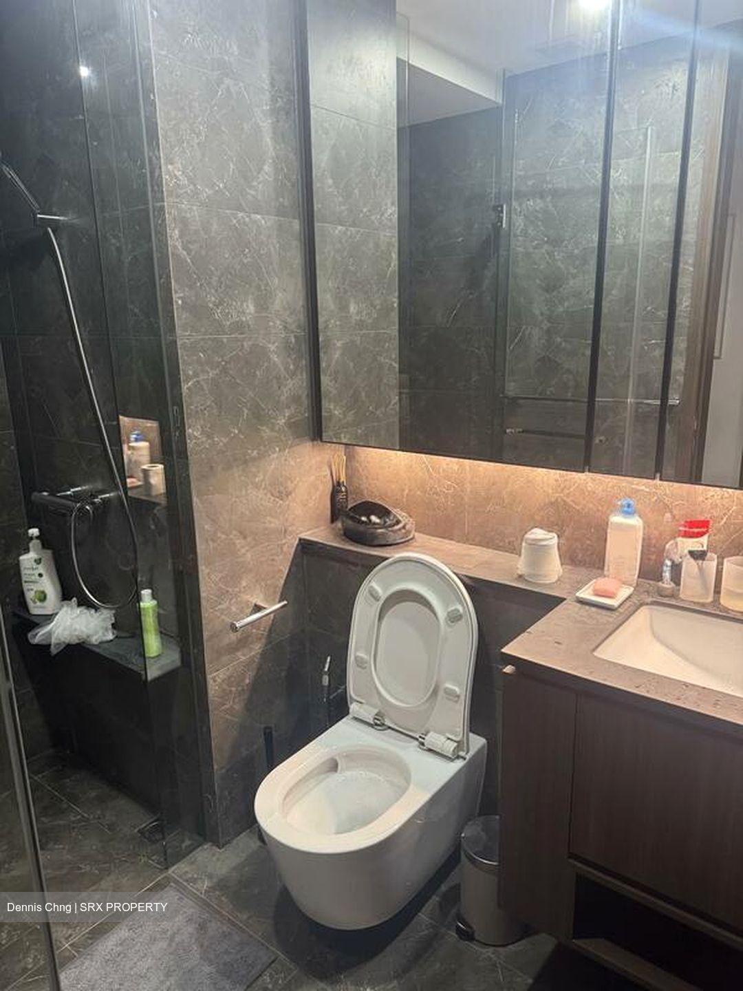 Kopar At Newton (D9), Apartment #508418441